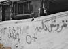 تصاویر فاجعه فروش کلیه در ایران