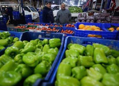 دلیل برگشت محصولات صادراتی به ایران ، چرا کشاورزان از سموم مصرفی ناراضی هستند؟