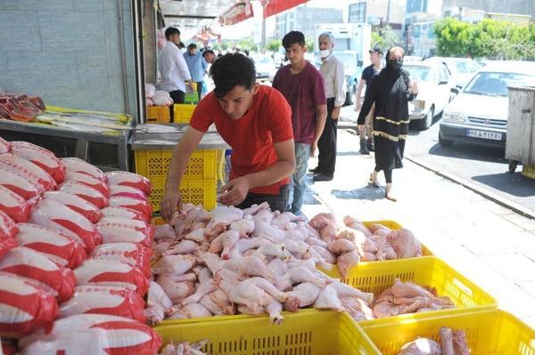 قیمت مرغ در بازار امروز یکشنبه 6 آذر 1401