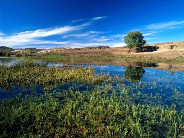 دریاچه ارژن ، بهشتی گمشده در دل شیراز