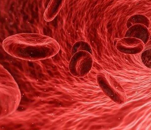 سلول های خونی، در روند پیری موثر هستند