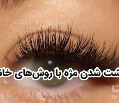 با یک تخم مرغ مژه های خود را پرپشت کنید