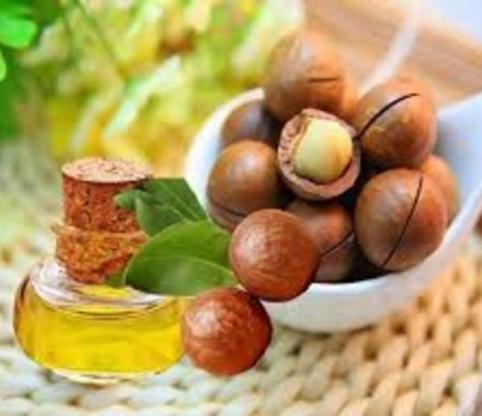 خواص شگفت انگیز روغن ماکادمیا خواص شگفت انگیز روغن ماکادمیا