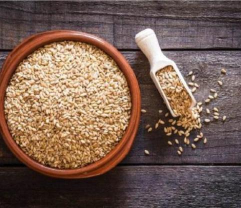 فواید تخم کتان برای سلامتی