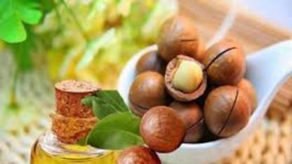 خواص شگفت انگیز روغن ماکادمیا خواص شگفت انگیز روغن ماکادمیا