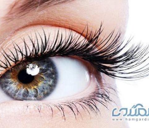 بهترین مواد غذایی برای داشتن مژه های بلند