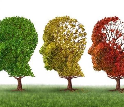 برترین رژیم غذایی برای پیشگیری از آلزایمر