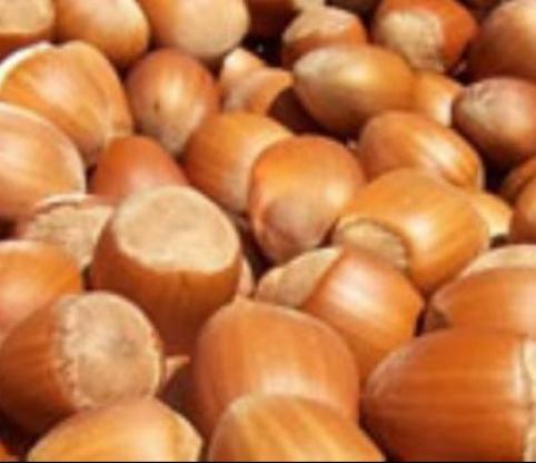 فندق برای بیماران دیابتی
