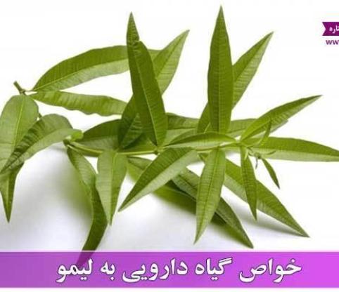 آشنایی با خواص به لیمو و عوارض آن