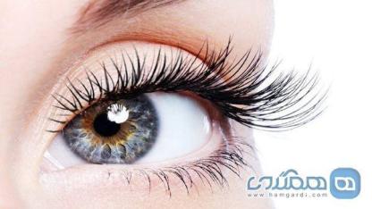 بهترین مواد غذایی برای داشتن مژه های بلند