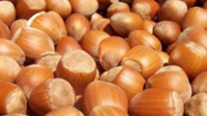 فندق برای بیماران دیابتی