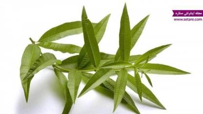 آشنایی با خواص به لیمو و عوارض آن
