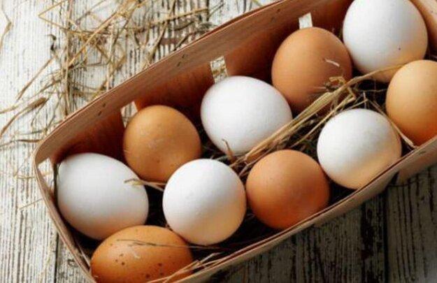 خوردن تخم مرغ در وعده صبحانه برای افراد دیابتی مفید است