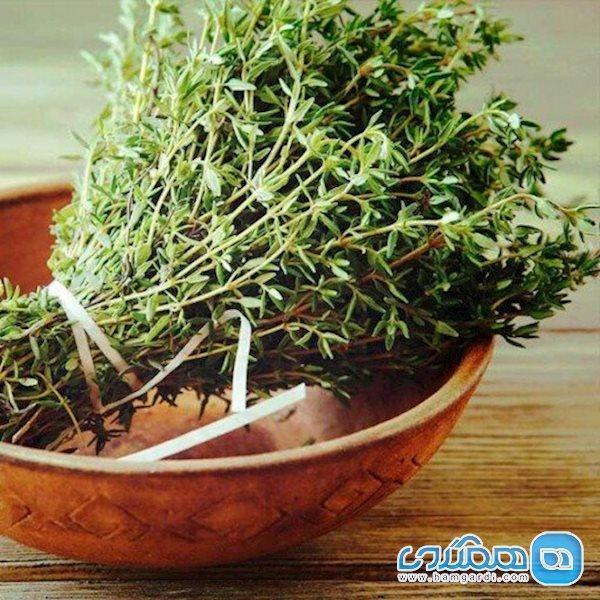 ادویه ای که هضم غذا را آسان می نماید
