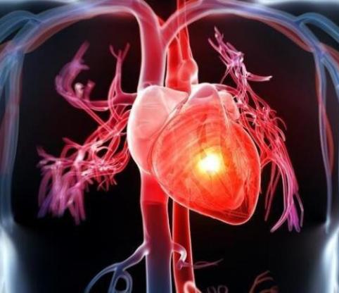 کدامیک برای قلب مفید است؛ از دست دادن چربی یا افزایش عضله؟