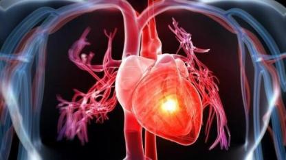 کدامیک برای قلب مفید است؛ از دست دادن چربی یا افزایش عضله؟