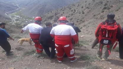 قارچی که مرگ به ارمغان آورد
